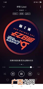 live 歌曲live是什么意思,一首歌歌名后加上是什么意思？