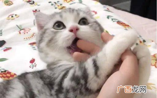 赏脸是什么意思,久仰劳驾赏光赏脸是敬词吗？