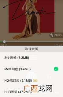 细致是什么意思,精巧细致意思相近的成语?