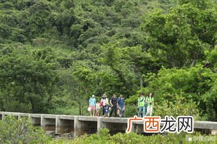和老婆插秧是什么意思,黎族民俗？