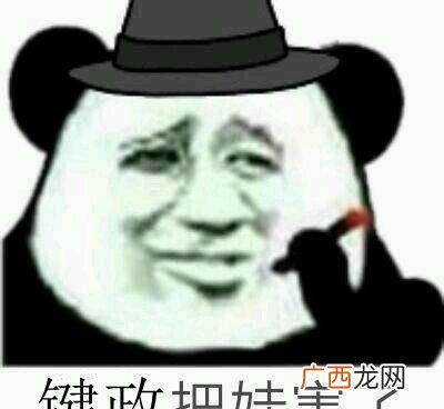 常见作形容词,电脑键盘议政的通称 键政是什么意思