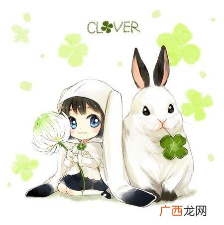 属兔人的致命缺点 属兔的性格和脾气女人