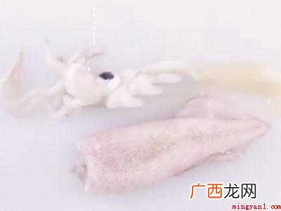 小墨鱼怎么处理干净