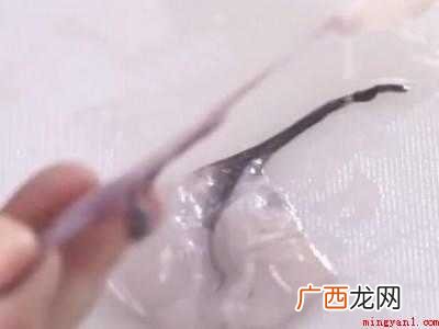 小墨鱼怎么处理干净