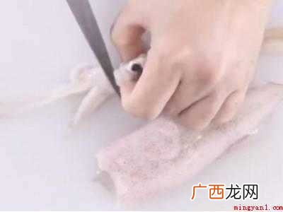 小墨鱼怎么处理干净
