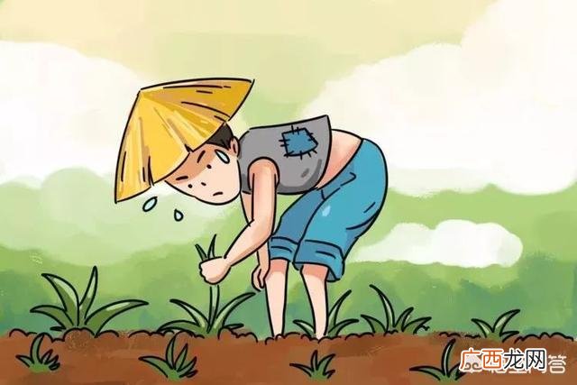 揠苗助长什么意思,揠苗助长是什么意思？