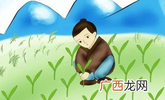 揠苗助长什么意思,揠苗助长是什么意思？