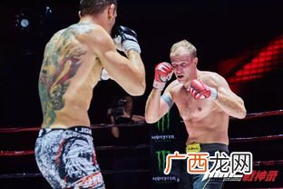 mma是什么意思,ufc和mma哪个厉害？