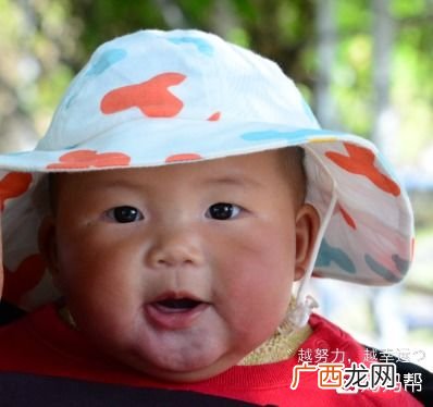 开荤是什么意思,开荤和辅食有什么区别？