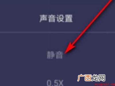 演示机型:Iphone 12 怎么让直播只有游戏声音
