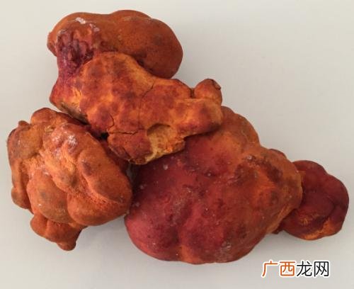 沙士什么味道,怎样辨别假牛樟芝？