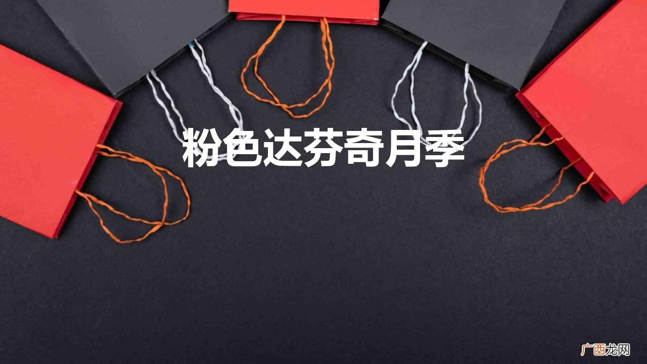 想拥有一面花墙吗养一棵粉达吧 粉色达芬奇月季