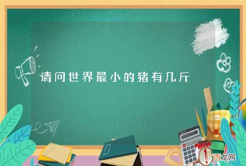 请问世界最小的猪有几斤