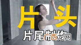 女生做pr是什么意思,pretty gⅰrl的意思中文？