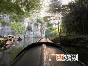 便舍船的舍是什么意思,便舍船从口入初极狭才通人的意思？