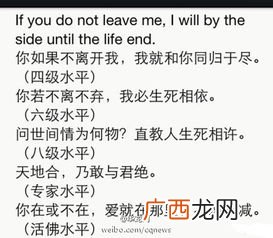 will什么意思,will与can的区别？