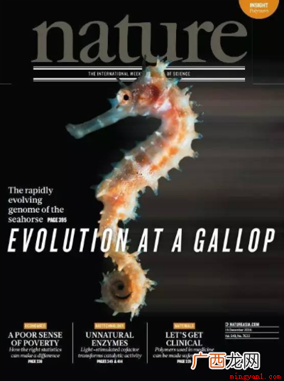 发一篇nature能当教授吗 发一篇nature是什么级别