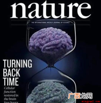 发一篇nature能当教授吗 发一篇nature是什么级别