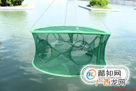 如何捕鱼的几种神奇绝密方法野钓野捕鱼捞鱼游玩