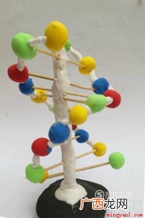生物模型制作方法有哪些 生物模型制作方法