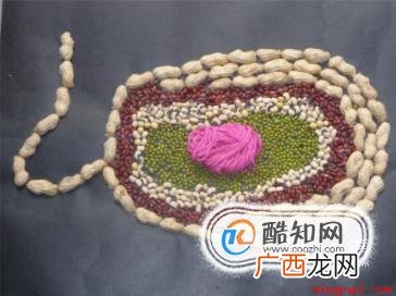 生物模型制作方法有哪些 生物模型制作方法