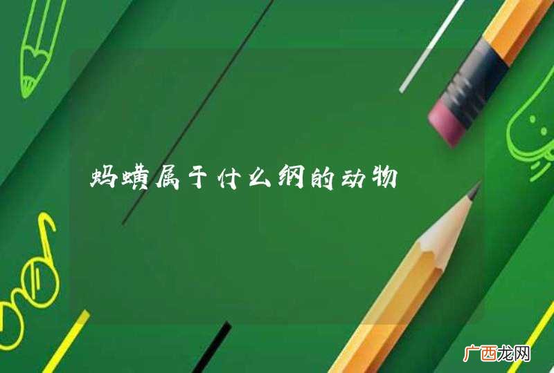 蚂蟥属于什么纲的动物