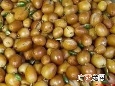 黄皮果酱的制作方法