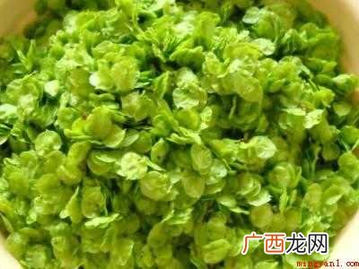 榆钱怎么保存到冬天