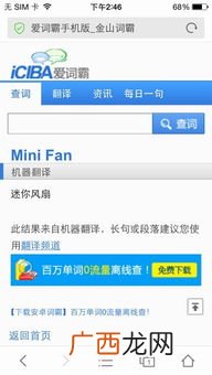 fan什么意思,fan的汉字?
