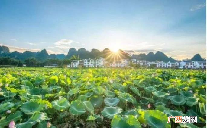 上海和广州的气候差异有哪些 上海气候类型及特点