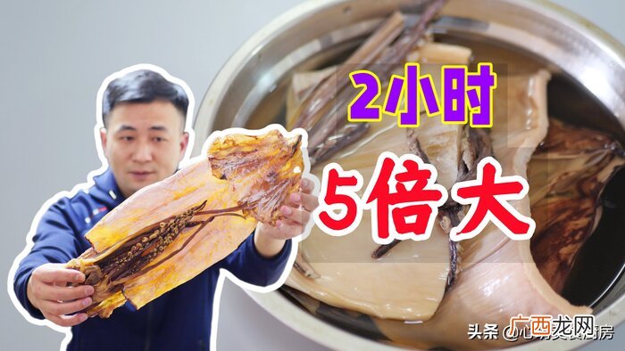 墨鱼干应该用什么水泡更好 墨鱼干用冷水泡还是用热水泡