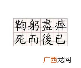 死而后已的已是什么意思,不已的已是什么意思？