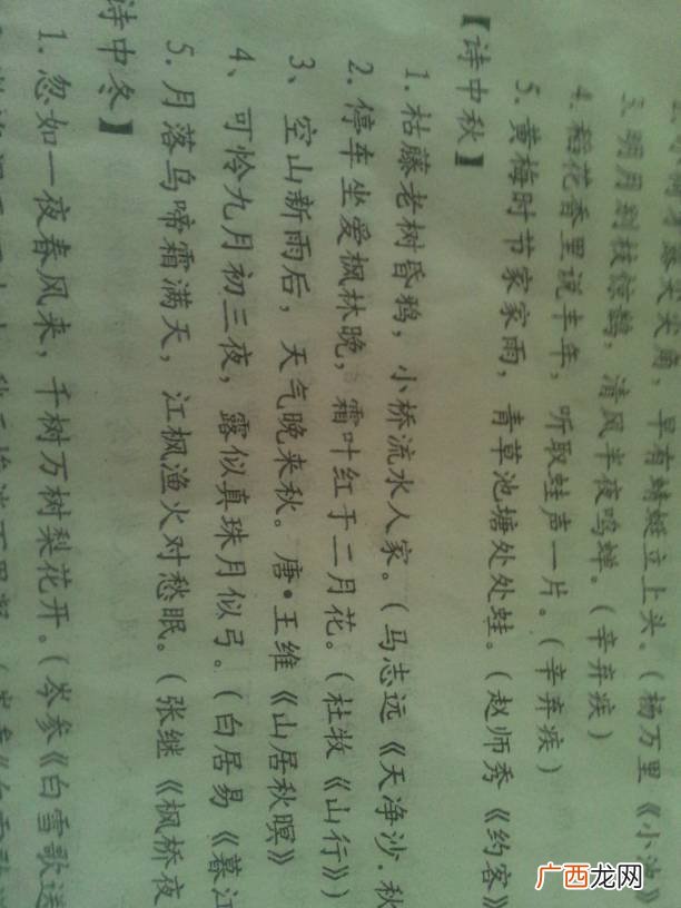 可怜九月初三夜的下一句,低头思故乡出自李白的哪首诗可怜九月初三夜?