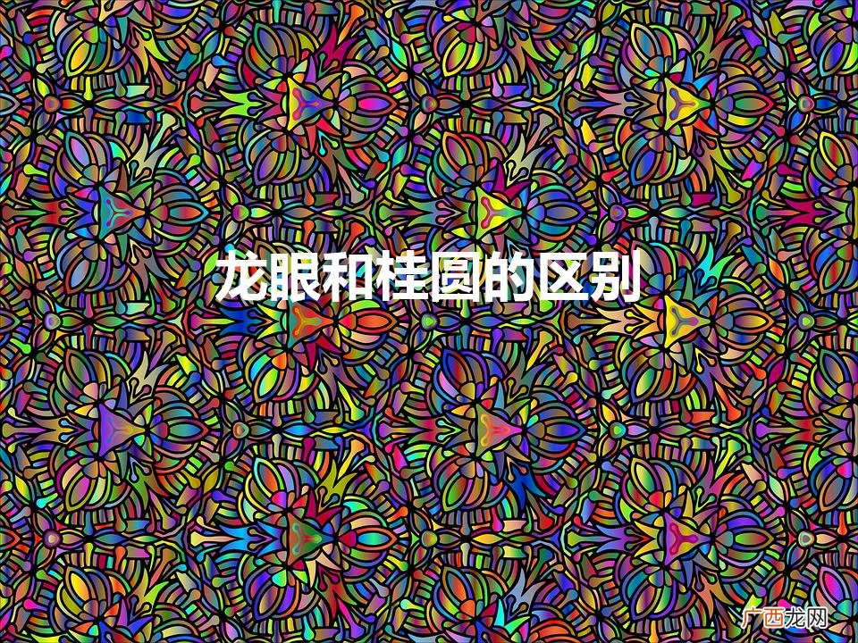 龙眼和桂圆的区别（龙眼是桂圆吗)