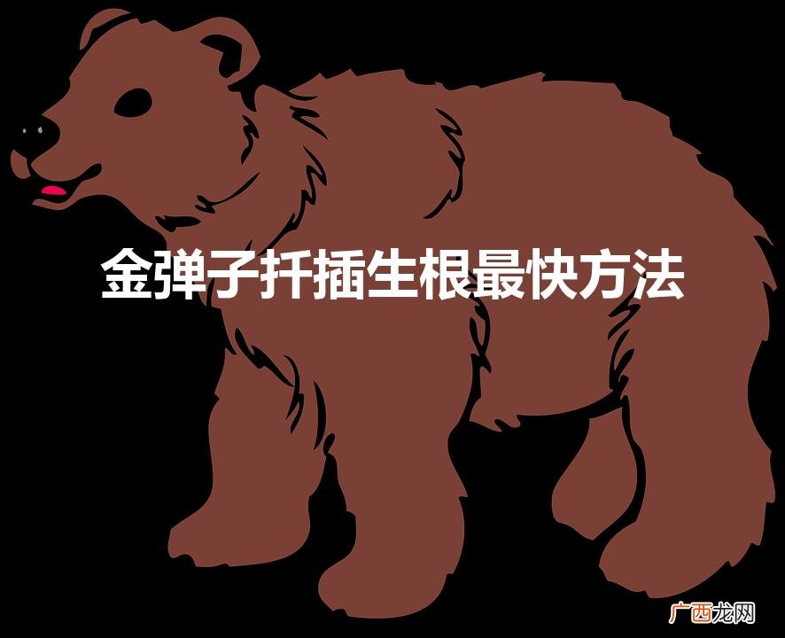 金弹子扦插生根最快方法（金弹子扦插生根最快方法图解)