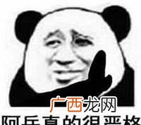 指对他人的体现并不是很令人满意 太严格是什么意思