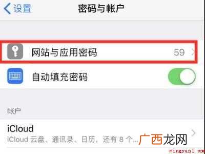 苹果储存的密码在哪里找到