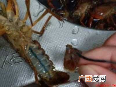 活龙虾怎么处理干净