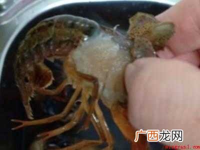 活龙虾怎么处理干净