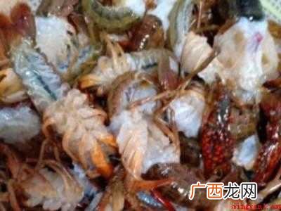 活龙虾怎么处理干净
