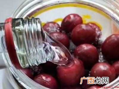 紫叶李酒的酿制方法