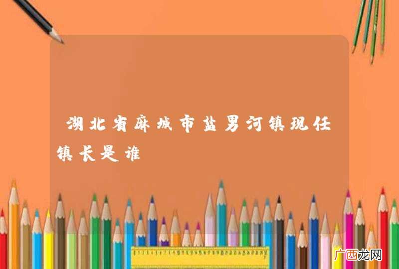 湖北省麻城市盐男河镇现任镇长是谁?