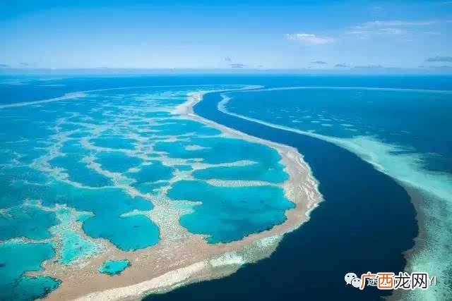 世界上最大的海是什么,世界上最大的海是哪一个一珊瑚海二黑海三中国的黄海四红海?