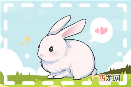 适合属兔人旺财旺风水盆栽 属兔适合养什么植物旺财
