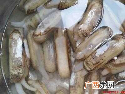 冷冻蛏子怎么处理干净