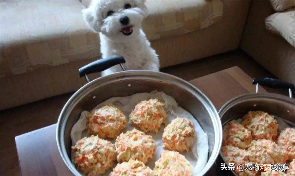 自制狗粮的6种简单方法 自制狗粮制作方法配方大全