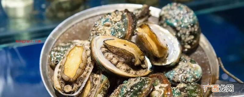 鲍鱼怎么吃