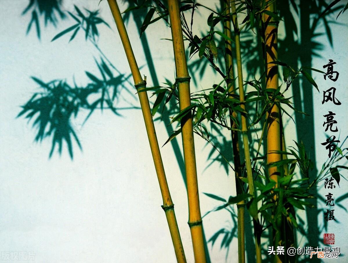解释庭院种竹子在风水上有讲究 院子里种竹子好吗