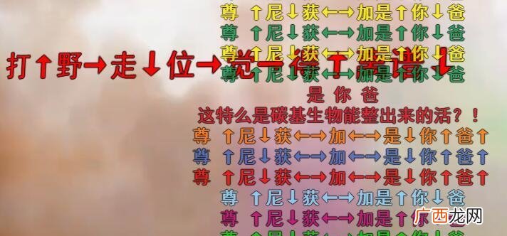 一句鬼蓄歌曲歌词。源于b站up主@_Karasu_对电竞主播 尊尼获加是你爸是什么意思