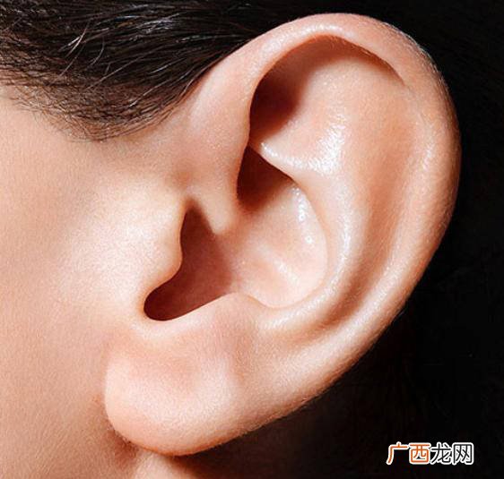 耳珠是哪个部位,不锈钢耳环耳坠的材质是什么？
